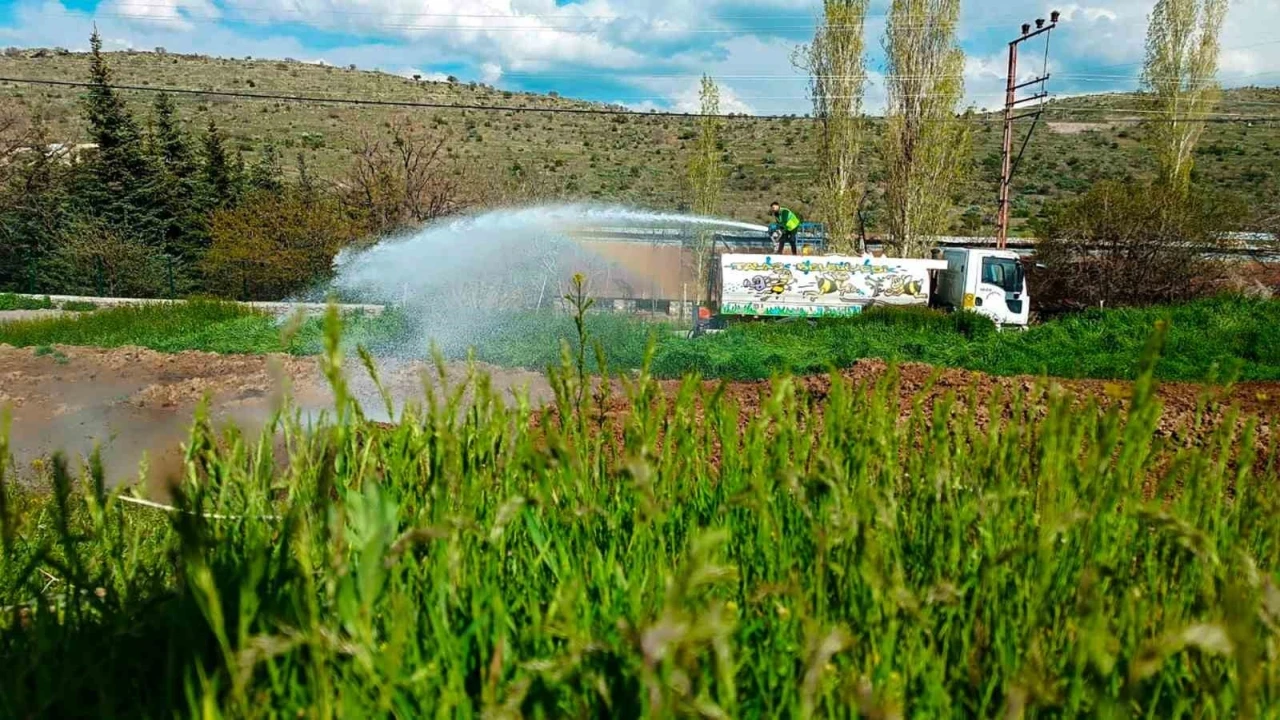 Talas’ta sinek ve haşerata erken önlem
