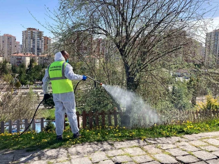 Talas’ta sinek ve haşerata erken önlem
