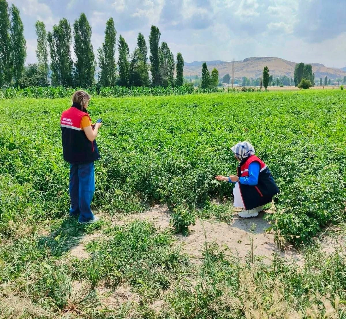 Tarım arazilerinin korunması &ccedil;alışmaları s&uuml;r&uuml;yor
