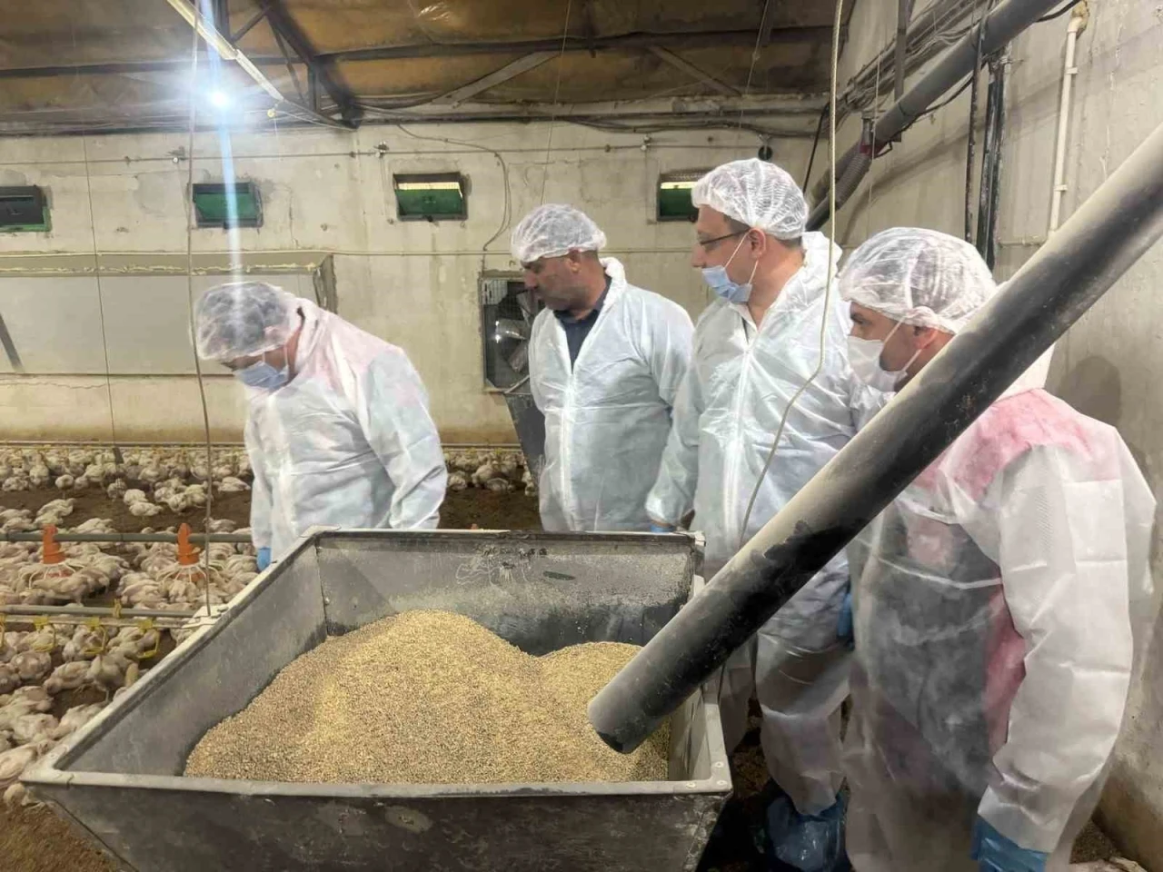 Tarım Müdürü Koçaker, etlik piliç üretimi yapılan tesislerde incelemede bulundu
