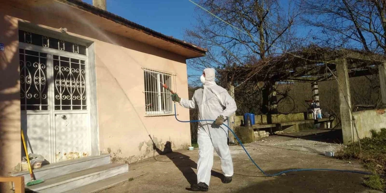 Tarım ve Orman İl Müdürlüğü’nden ‘Kahverengi Kokarca’ çağrısı
