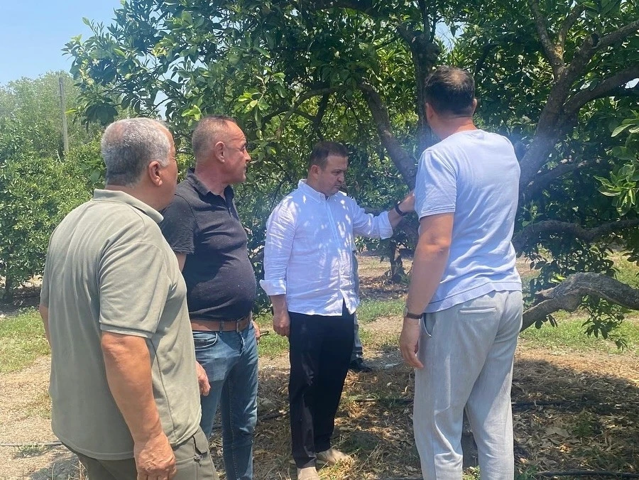 Tarıma yerinde rehberlik üreticilerin sorunları dinlendi, çözüm önerileri sunuldu
