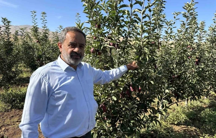 Tarlada 5 lira olan elmanın fiyatı markette 30 liraya kadar &ccedil;ıkıyor
