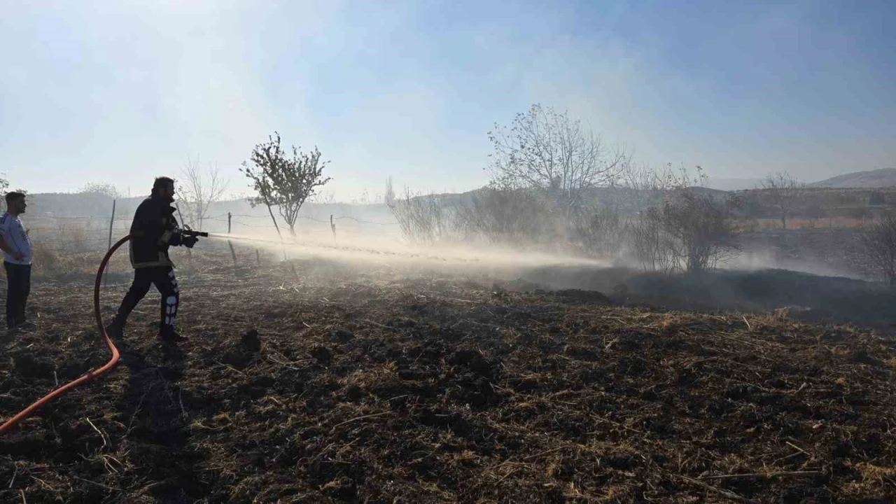 Tarlada çıkan yangın söndürüldü
