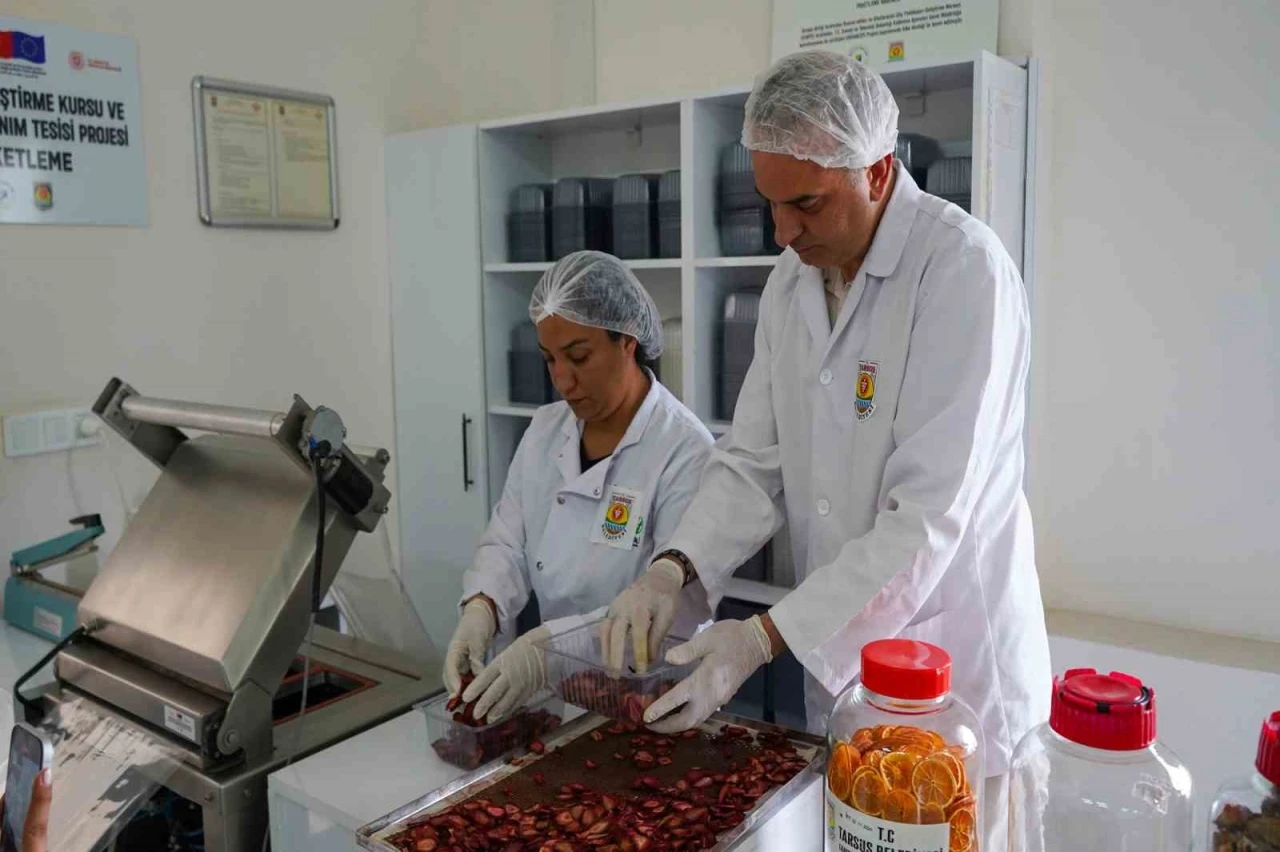 Tarsus’ta meyve ve sebze paketleme tesisi hizmete girdi
