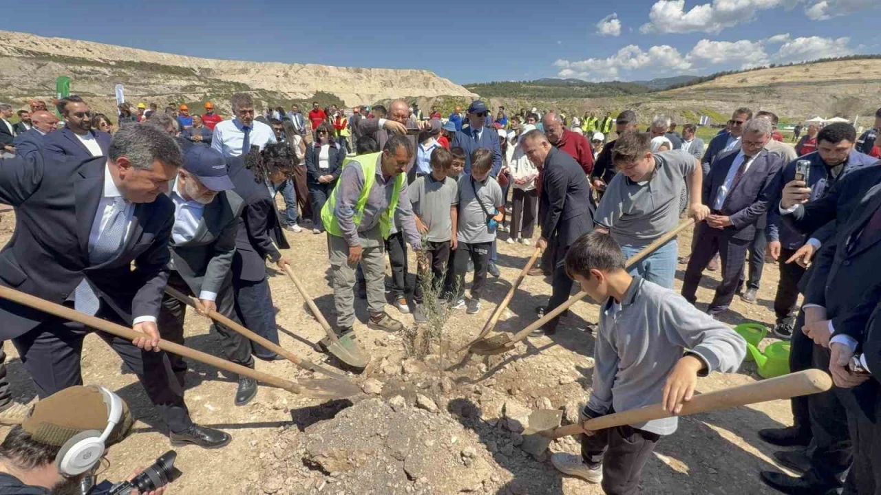 Taşınan her zeytin ağacına karşılık fidan: Milas&rsquo;ta 4 bin zeytin toprakla buluştu

