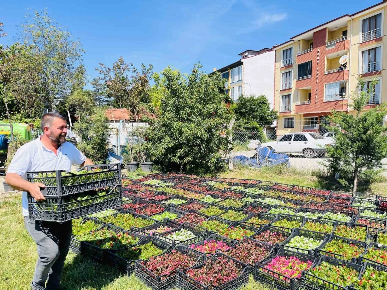 Taşk&ouml;pr&uuml; Belediyesi 70 bin &ccedil;i&ccedil;ekle il&ccedil;eyi rengarenk yapacak
