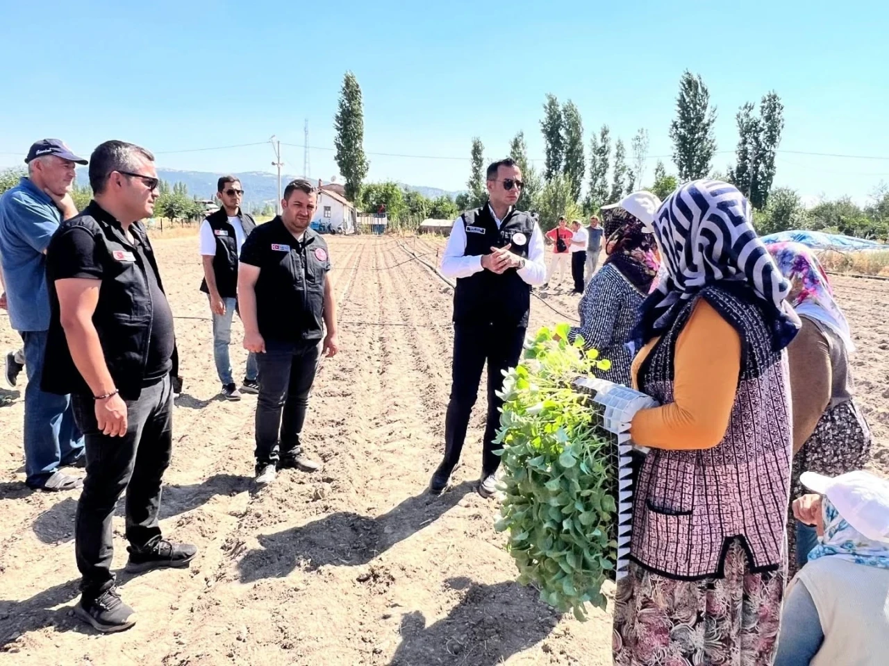 Taşoluk’ta 862 bin brokoli fidesi toprakla buluştu
