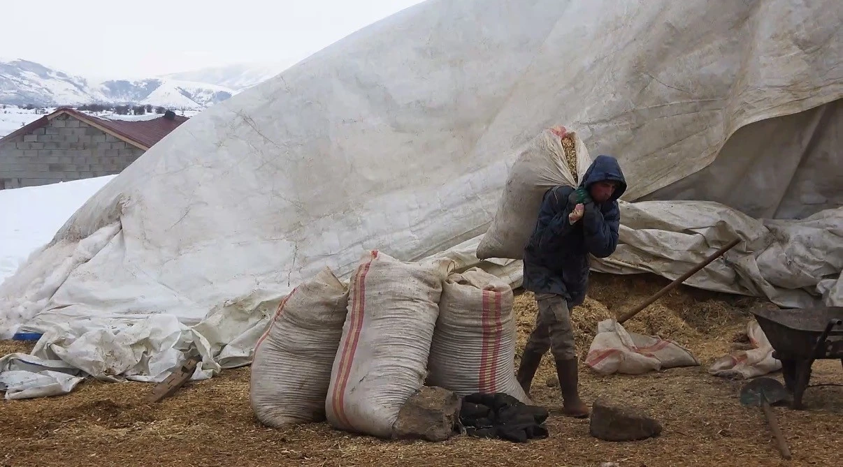 Tatvan&rsquo;da yayladan besiye d&ouml;n&uuml;ş

