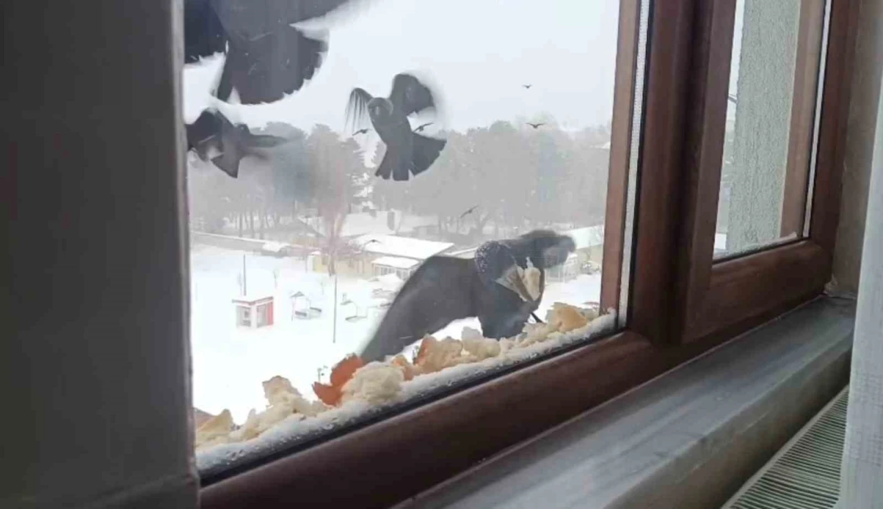 Tatvan&rsquo;da y&uuml;rekleri ısıtan davranış
