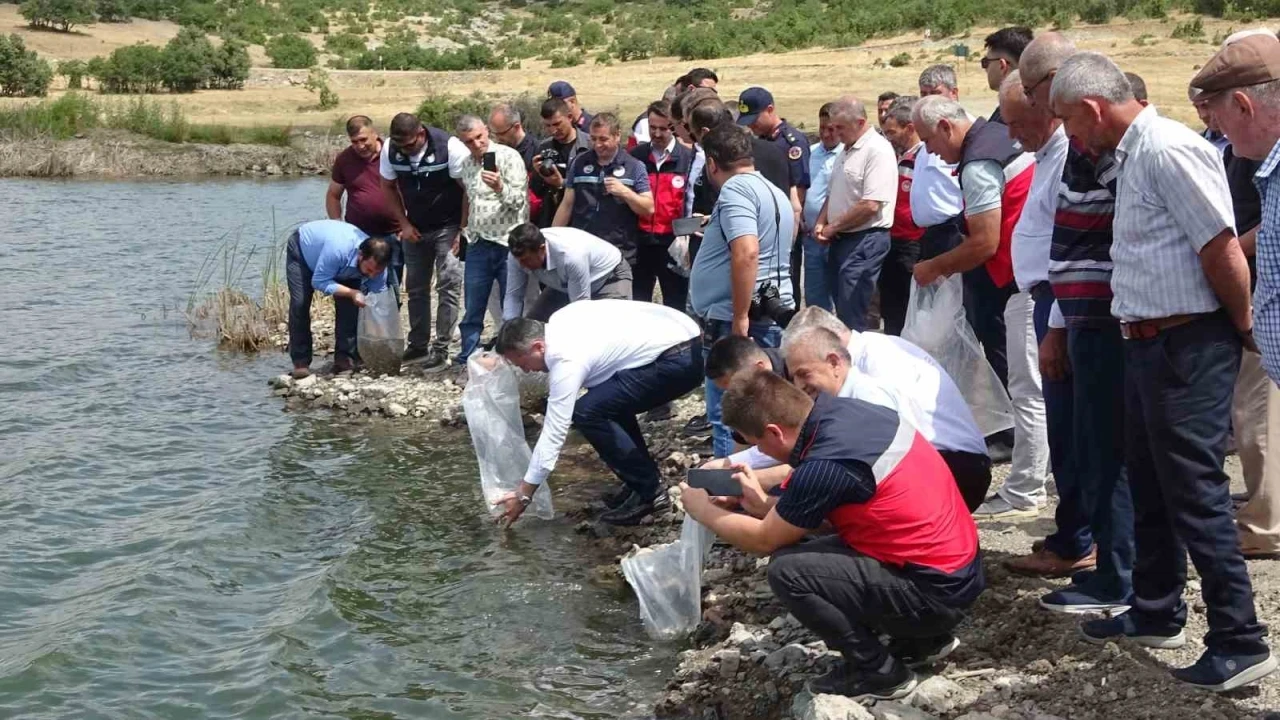 Tavşanlı g&ouml;letlerine 123 bin yavru sazan bırakıldı
