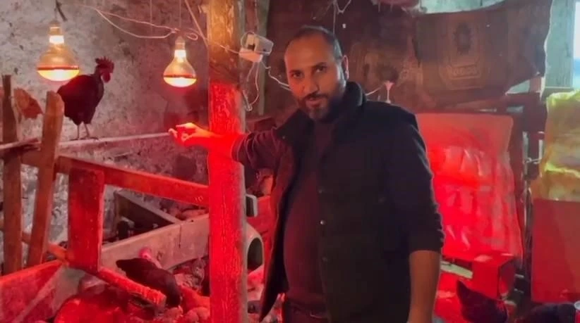 Tavuklara m&uuml;zikli terapi: "Yumurta verimi arttı"
