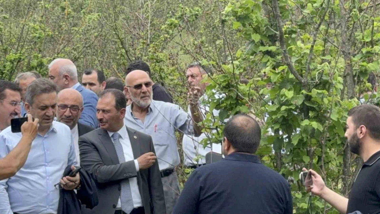 TBMM Zirai Don Olayını Araştırma Komisyonu Düzce’de
