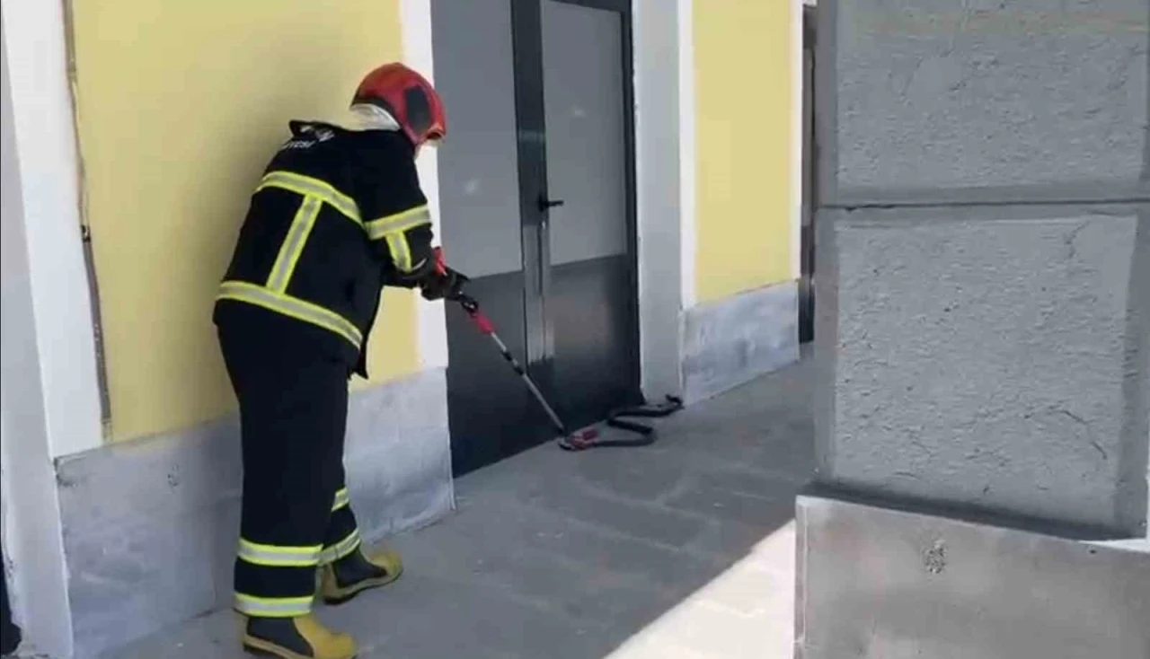 TCDD binasına giren yılan paniğe neden oldu
