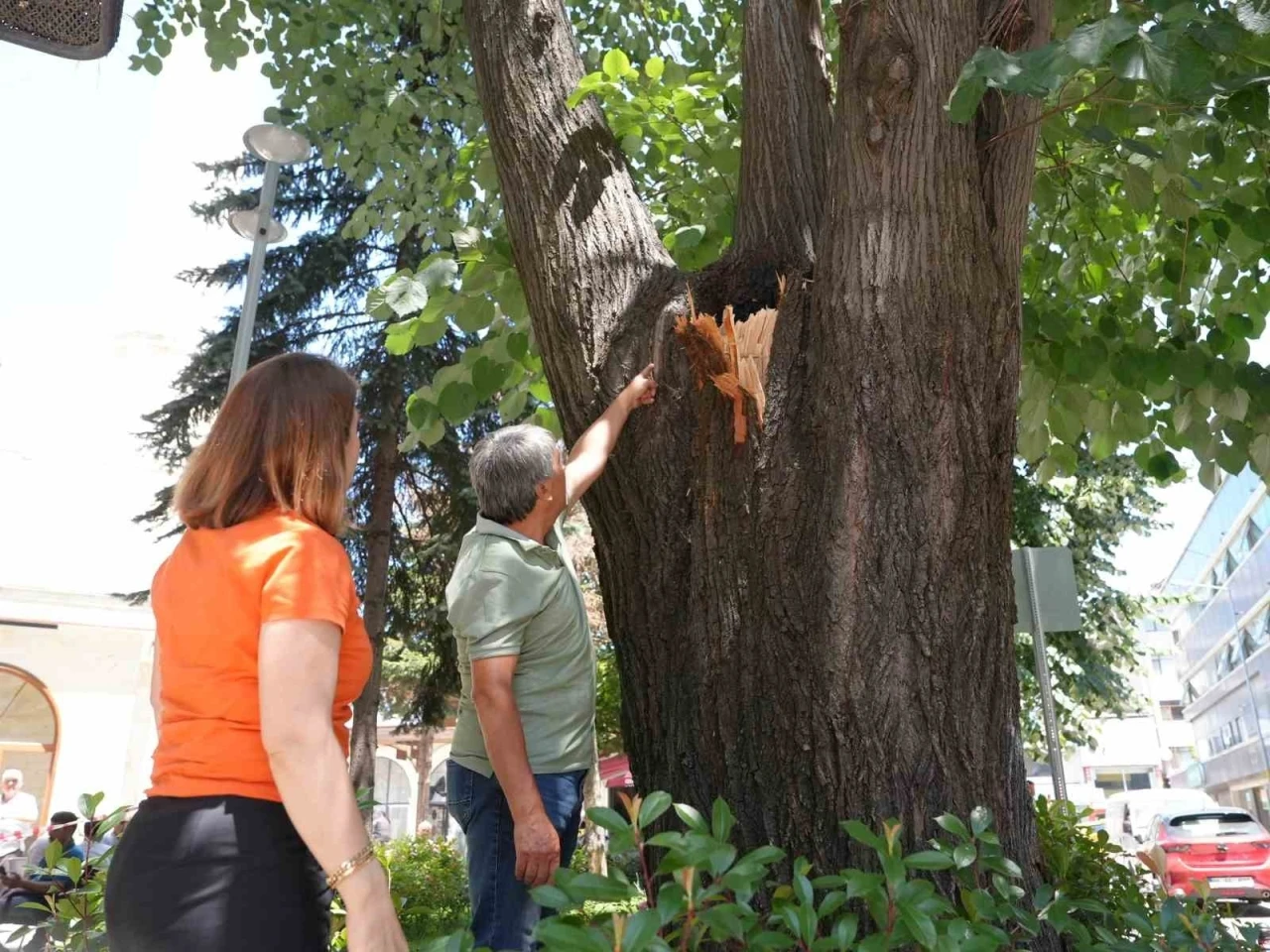 Tehlike ortadan kaldırıldı
