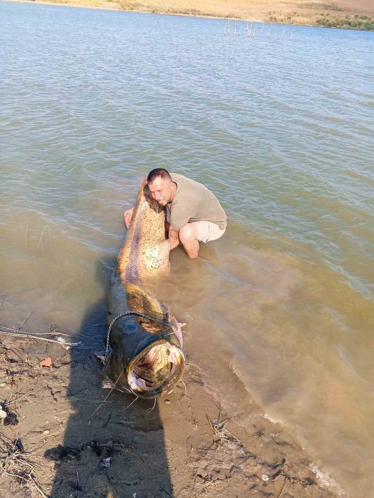 Tekirdağ&rsquo;da 157 kiloluk yayın balığı yakalandı
