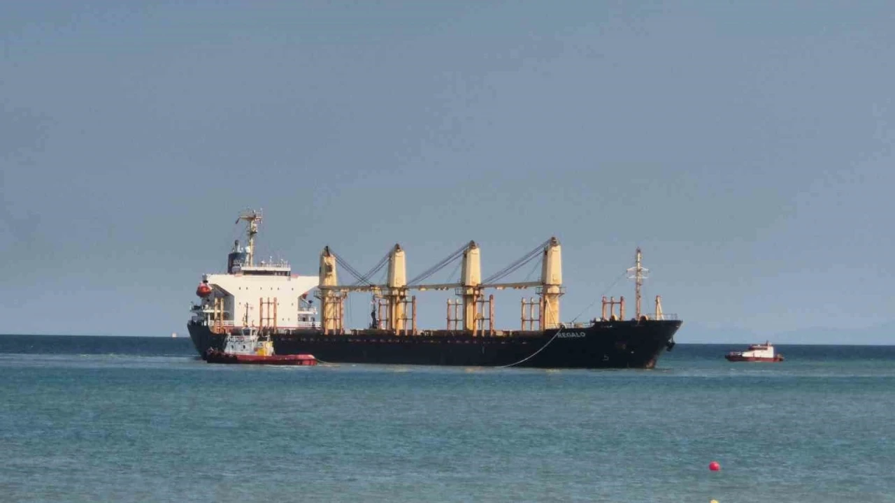 Tekirdağ&rsquo;da 169 metrelik gemi karaya oturdu
