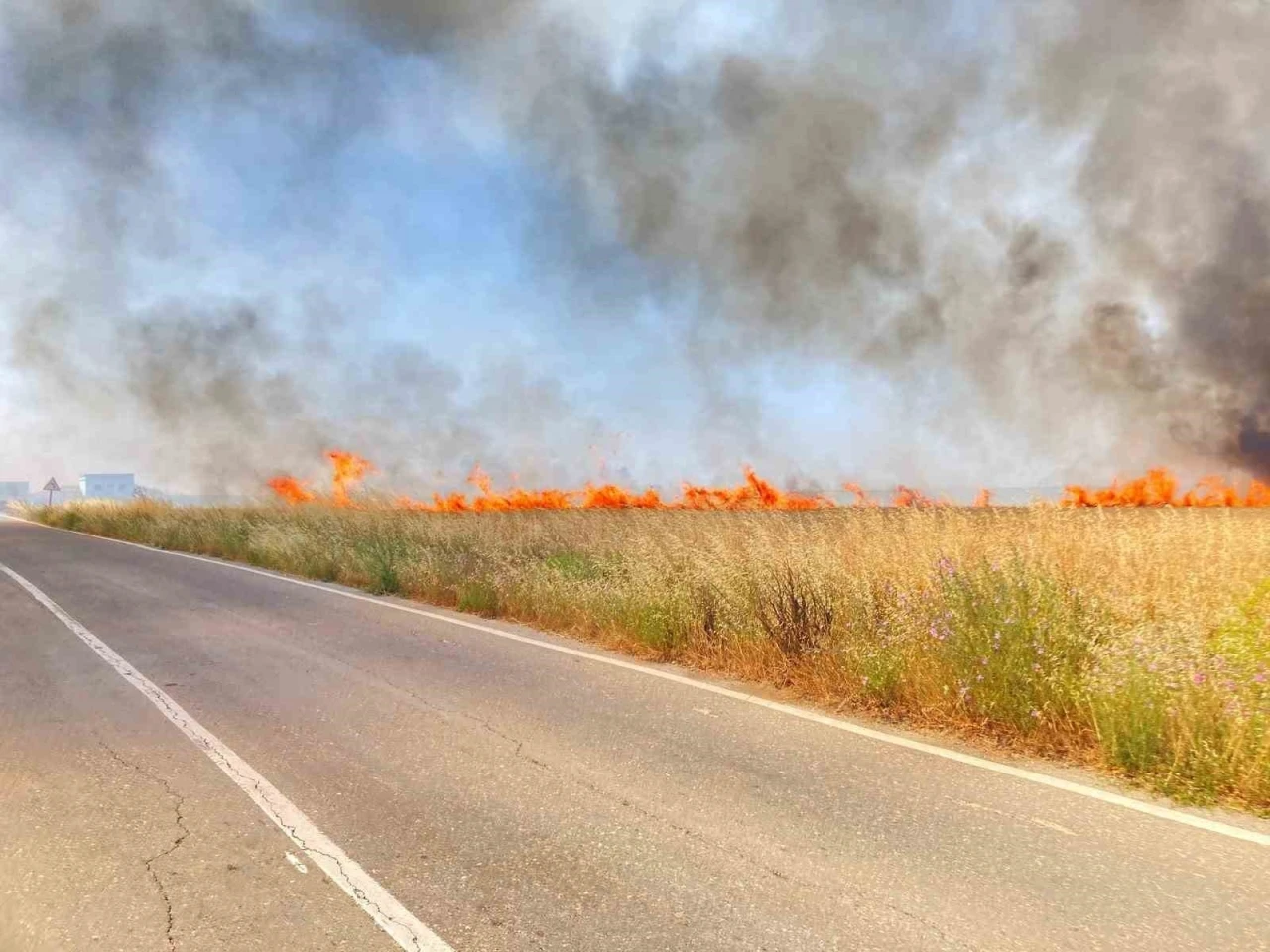 Tekirdağ’da 250 dönüm buğday yandı
