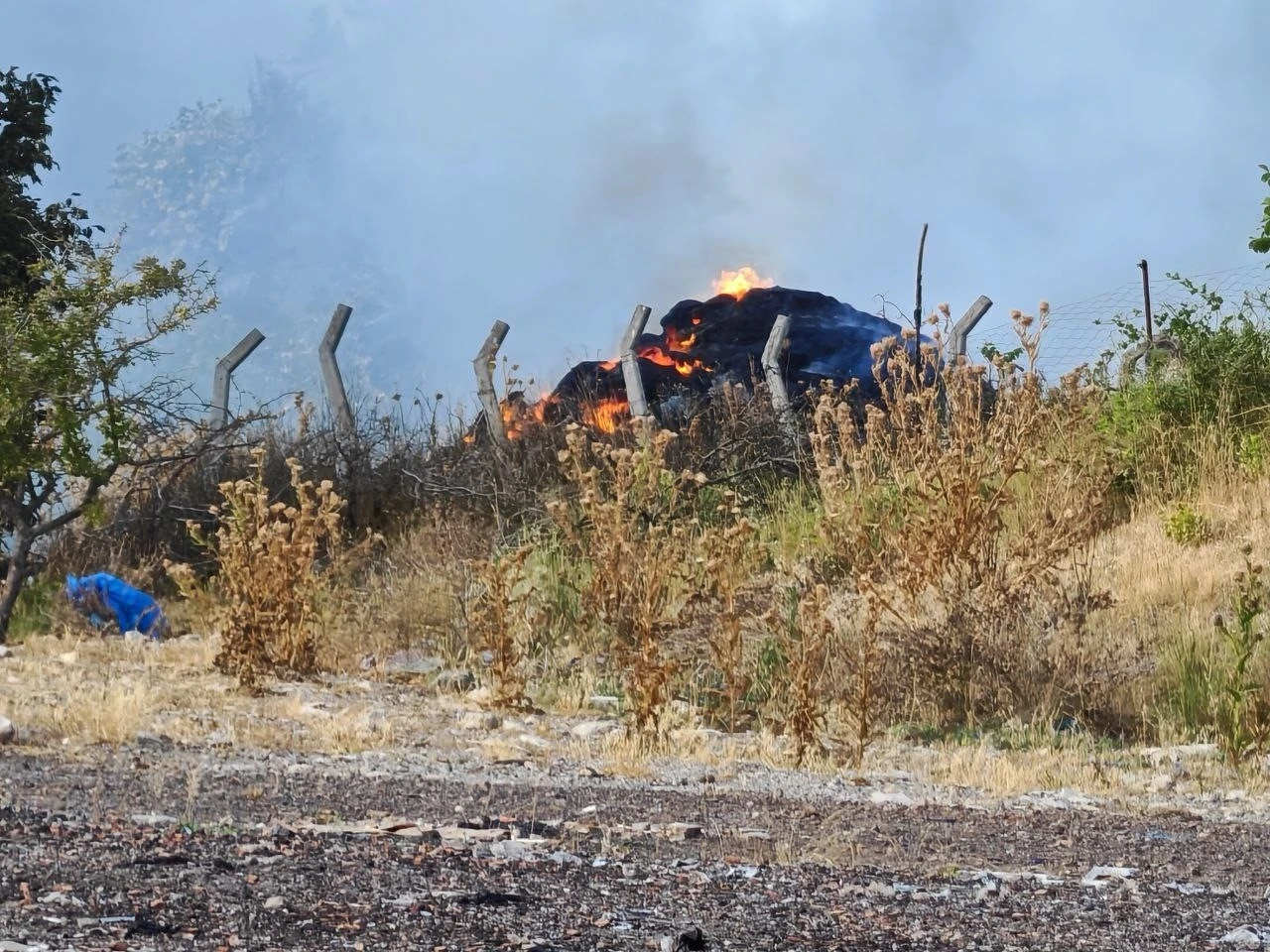 Tekirdağ’da anız yangını ormanlık alana sıçradı
