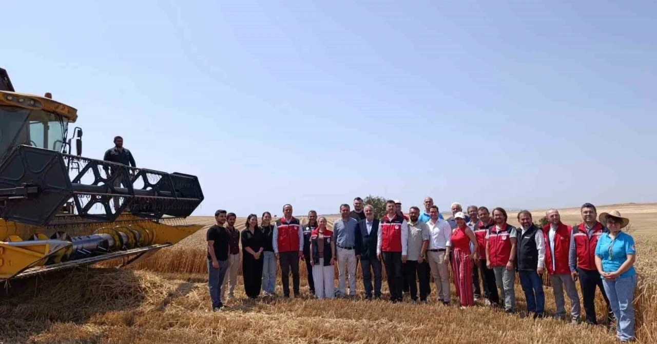 Tekirdağ&rsquo;da bitkisel yağ &uuml;retiminde gıda g&uuml;venliği mercek altında
