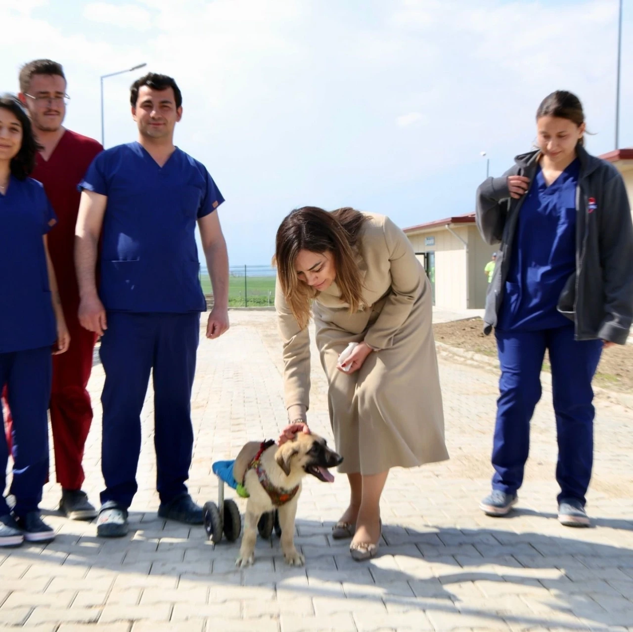 Tekirdağ&rsquo;da can dostları i&ccedil;in 10 bin metrekarelik yaşam alanı
