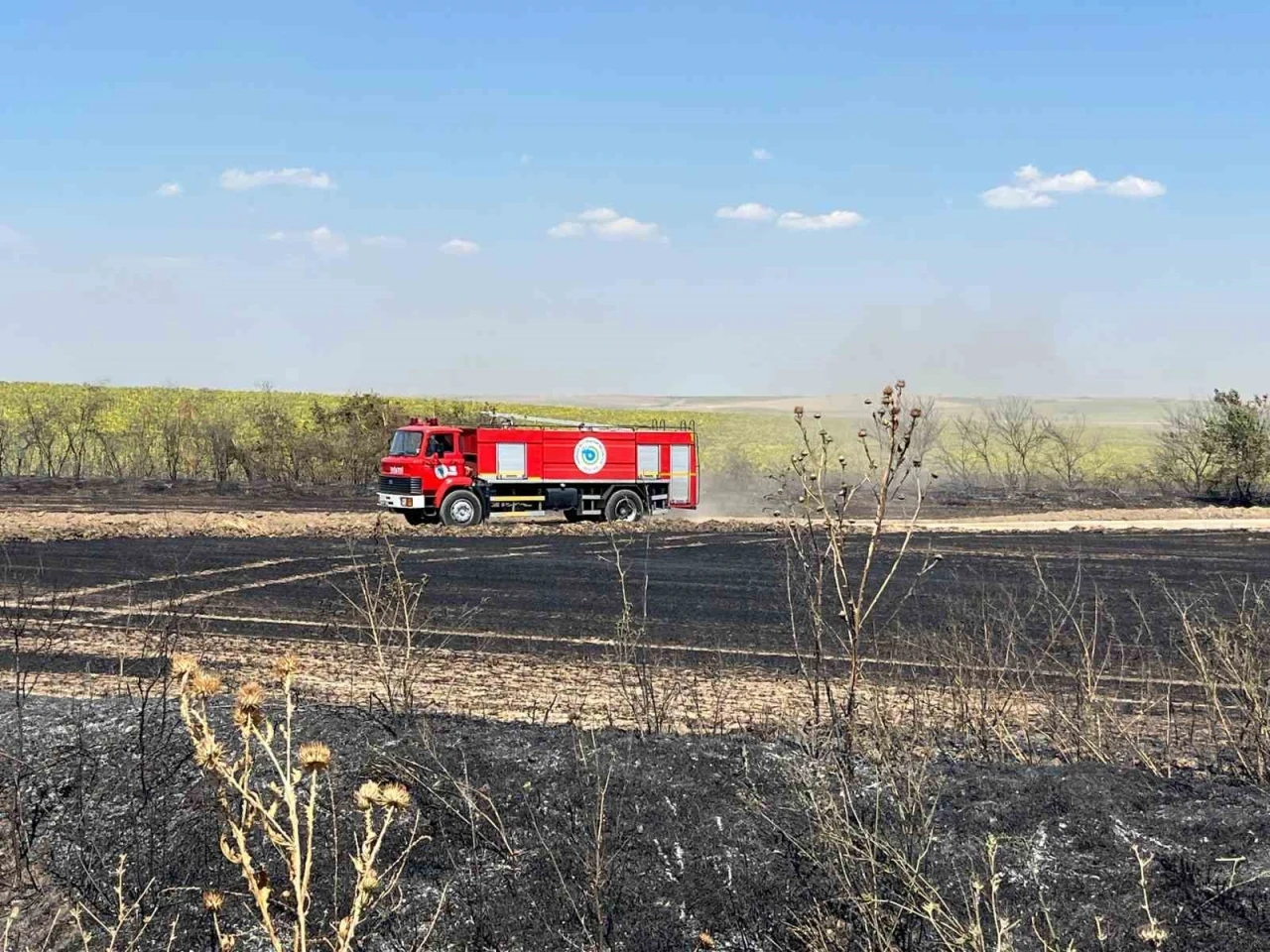 Tekirdağ’da çıkan tarla yangını söndürüldü
