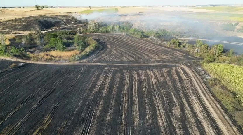 Tekirdağ’da çıkan yangında bin 500 dekarlık tarım arazisi zarar gördü
