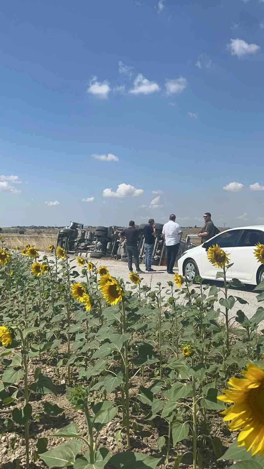 Tekirdağ&rsquo;da devrilen tırın s&uuml;r&uuml;c&uuml;s&uuml; yaralandı
