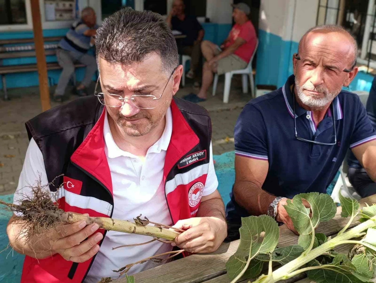 Tekirdağ&rsquo;da dolunun vurduğu k&ouml;ylerde hasar tespit &ccedil;alışmaları s&uuml;r&uuml;yor
