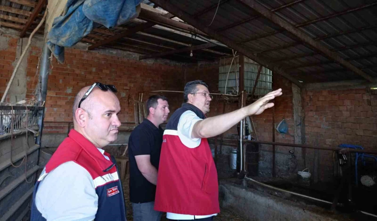 Tekirdağ&rsquo;da hayvancılık faaliyetleri yerinde incelendi
