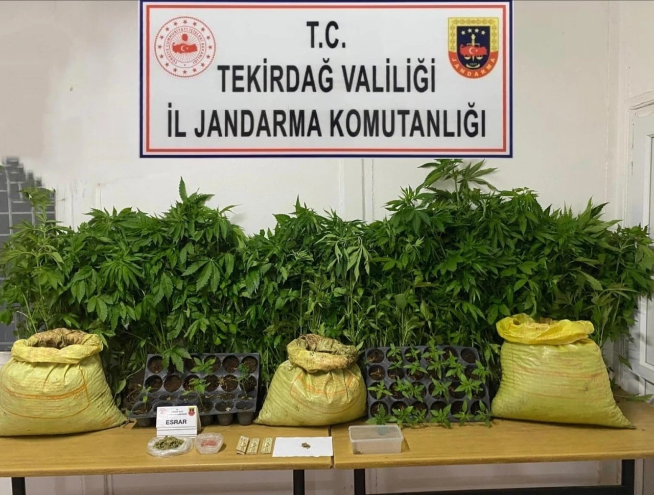 Tekirdağ’da jandarmadan uyuşturucu operasyonları: Çok sayıda madde ele geçirildi
