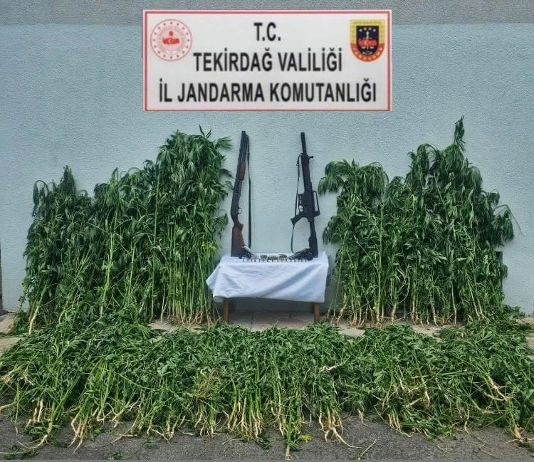 Tekirdağ’da jandarmadan uyuşturucu ve silah operasyonu
