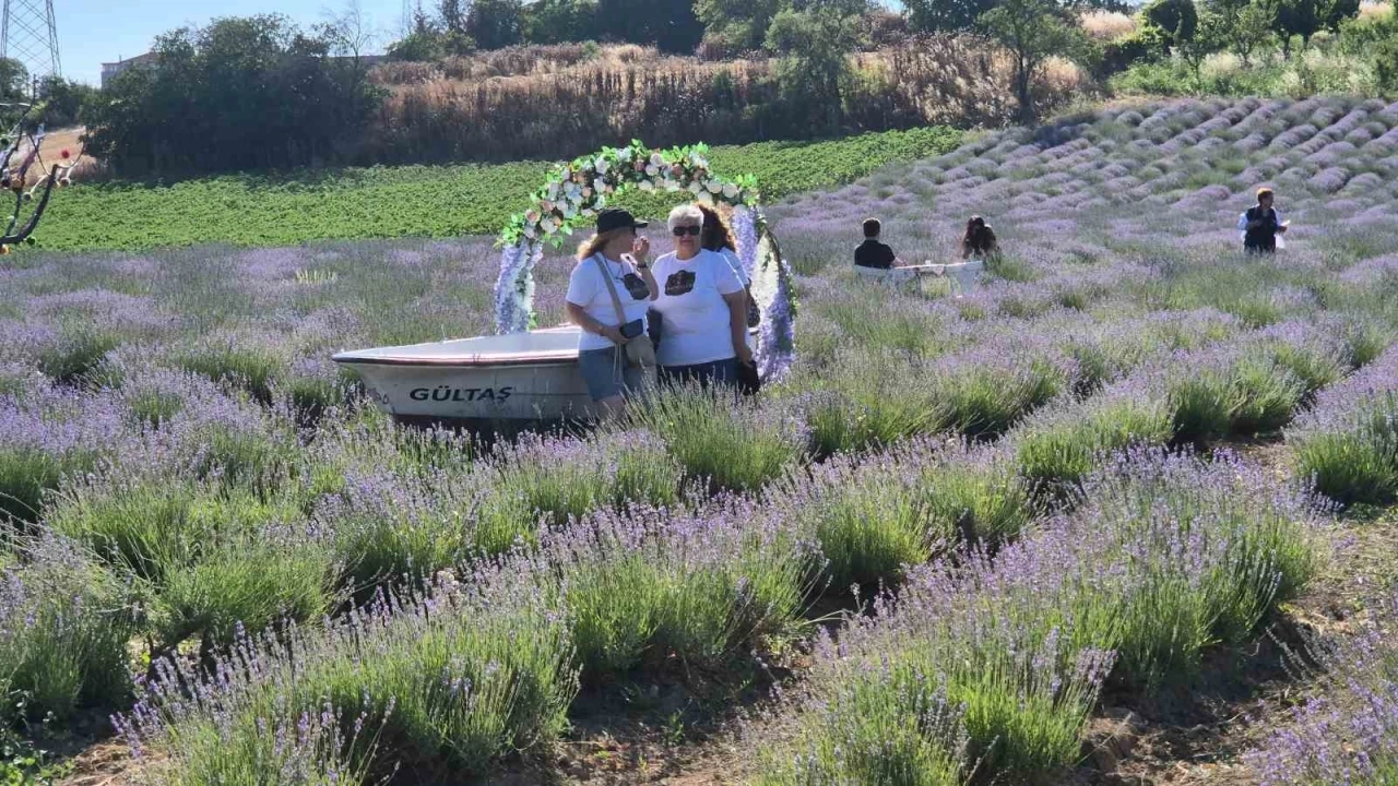 Tekirdağ&rsquo;da Lavanta Şenliği başladı
