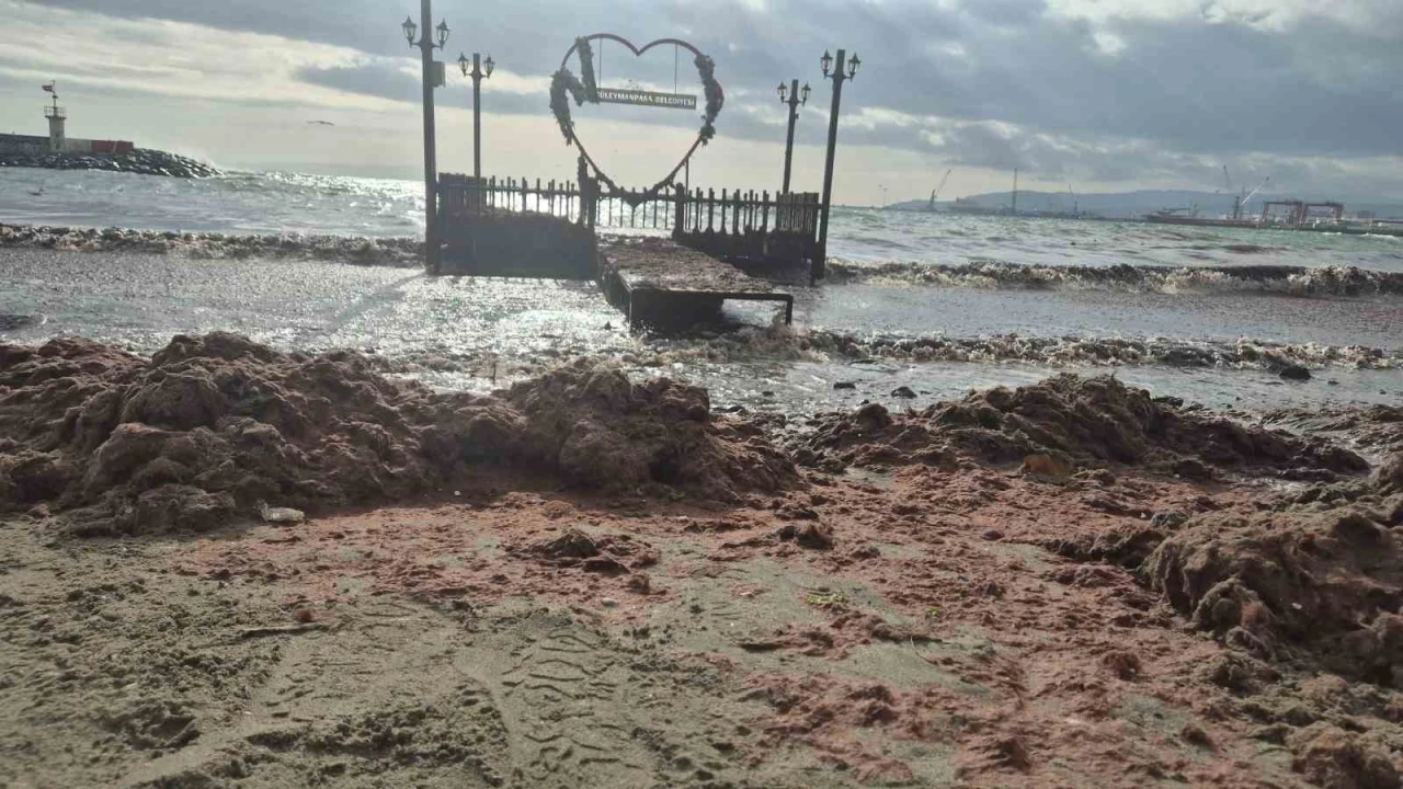 Tekirdağ&rsquo;da lodos kıyıyı vurdu, kızıl yosunlar sahili kapladı
