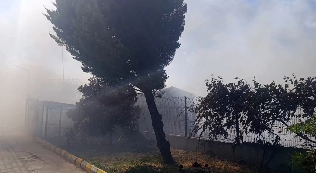 Tekirdağ&rsquo;da tarım arazisinde başlayan yangın: Alevler 4 farklı noktaya sı&ccedil;radı
