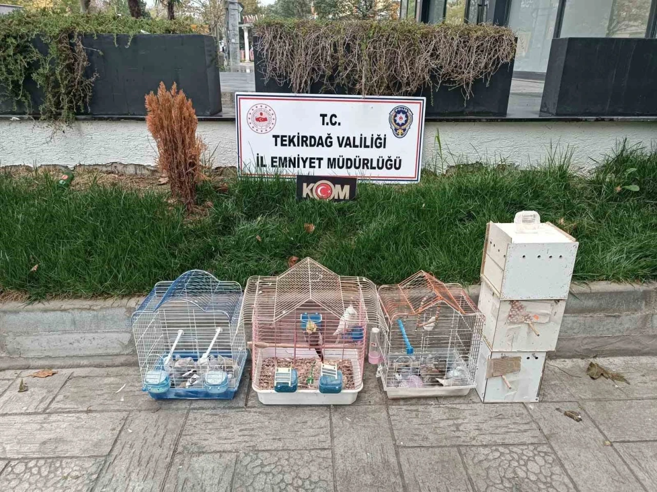 Tekirdağ’da yasa dışı hayvan üretimine ağır ceza
