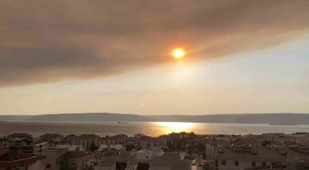 Tekirdağ’daki orman yangınının dumanı Çanakkale Boğazı’nı kapladı
