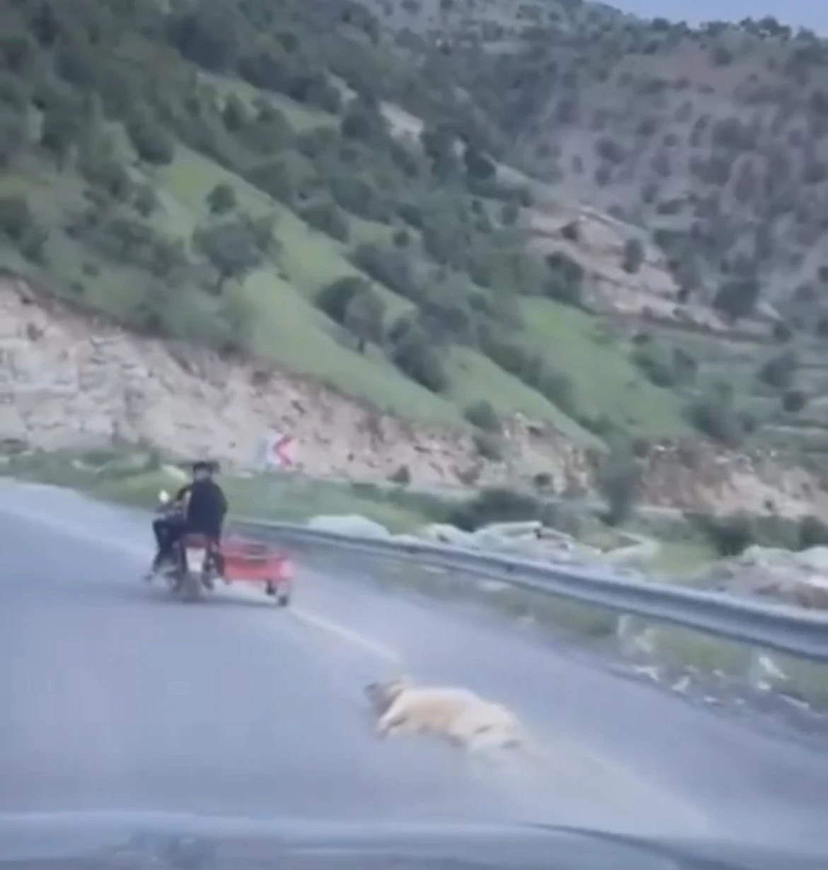 Telef olduğu iddia edilen köpeği motosikletle sürüklediler
