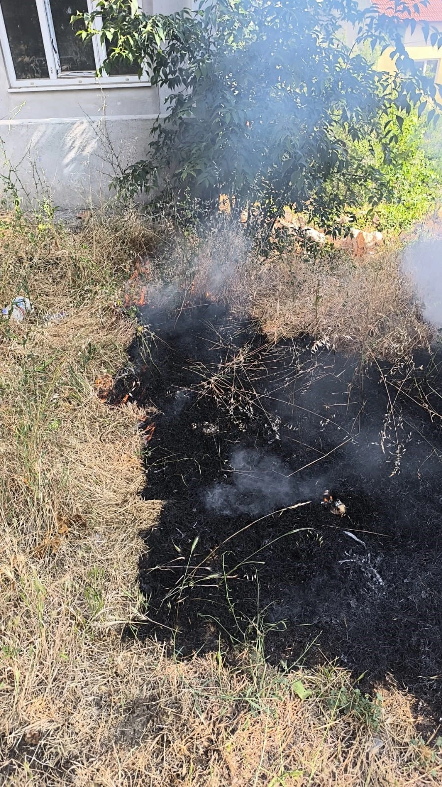 Temizlik amaçlı yakılan otlar kontrolden çıktı
