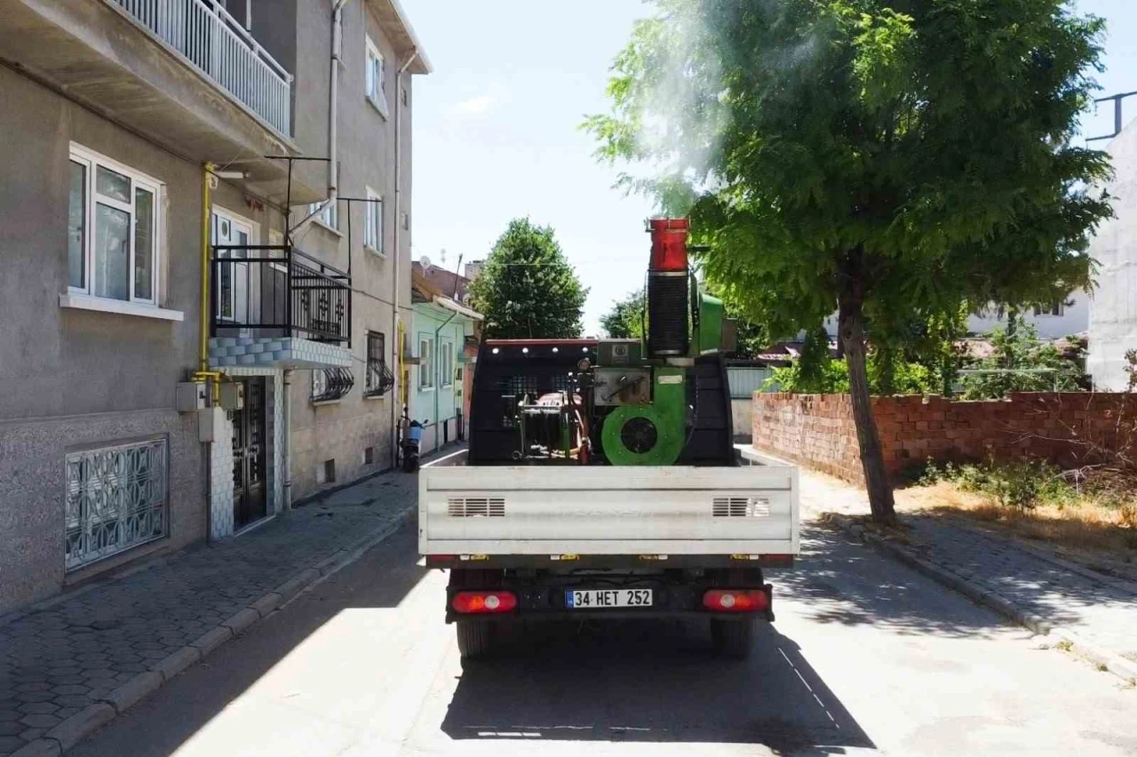 Tepebaşı haşerelere karşı sahada
