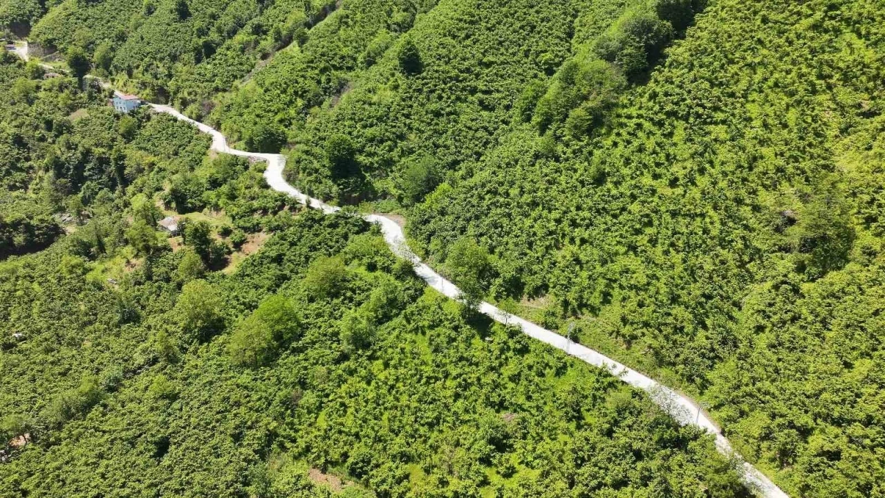 Terme’de beton yol çalışması