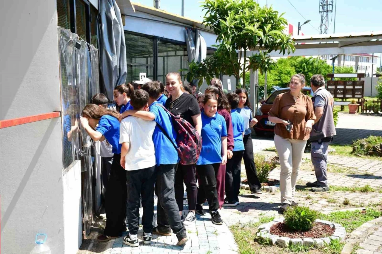 Terme&rsquo;de &rsquo;doğa&rsquo; sevgisi
