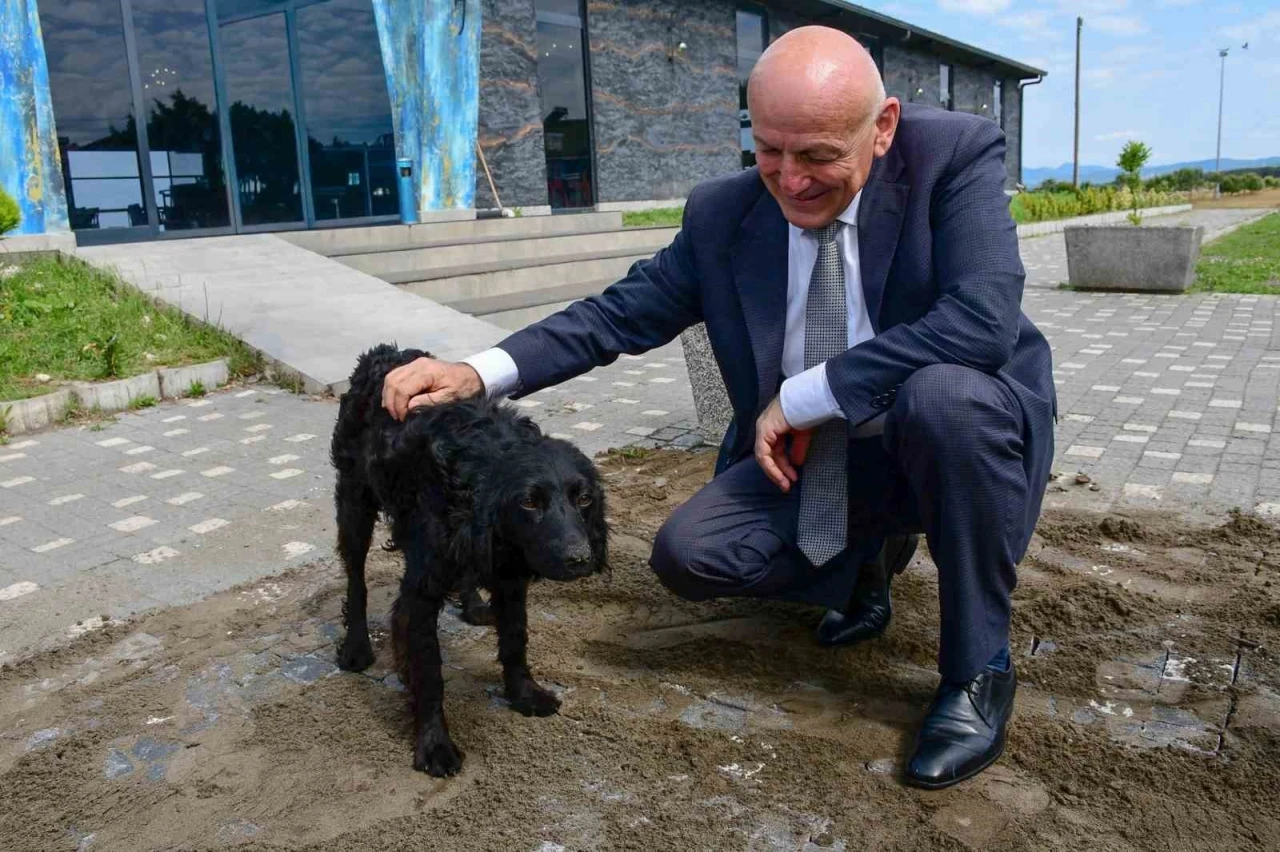 Terme&rsquo;de sevgi ve merhamet projesi
