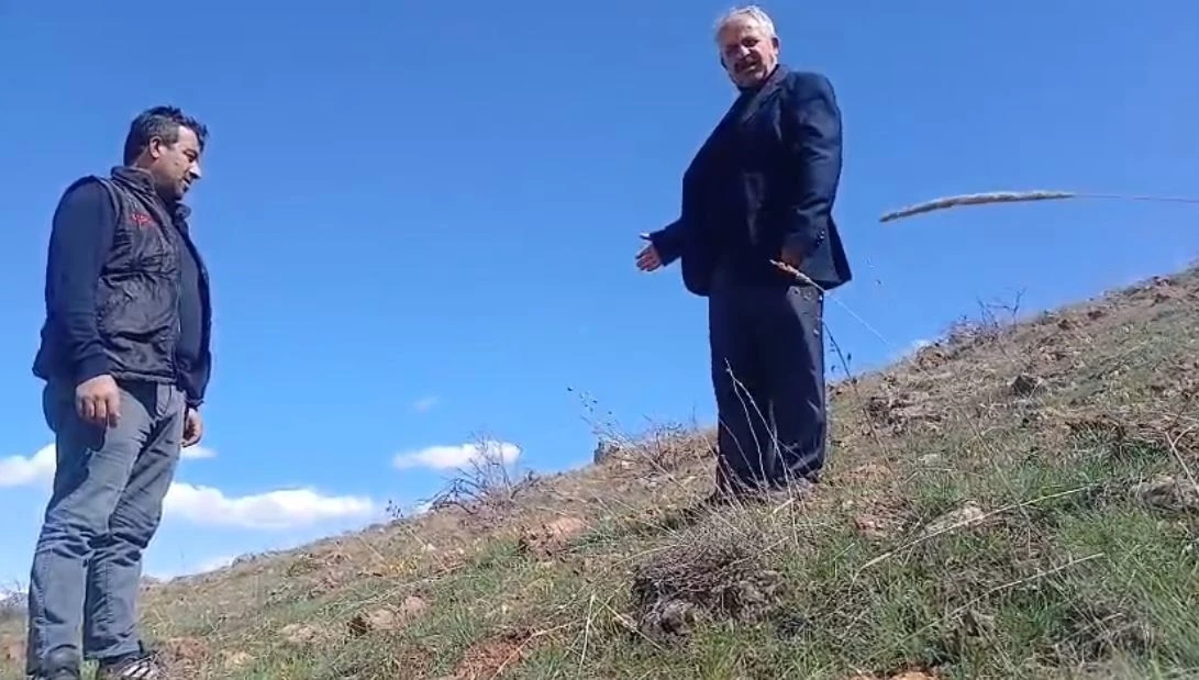 Ters laleyi koparmanın cezası 700 bin TL
