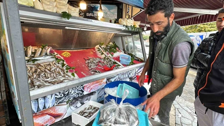 Tezgahlarda hamsi bolluğu
