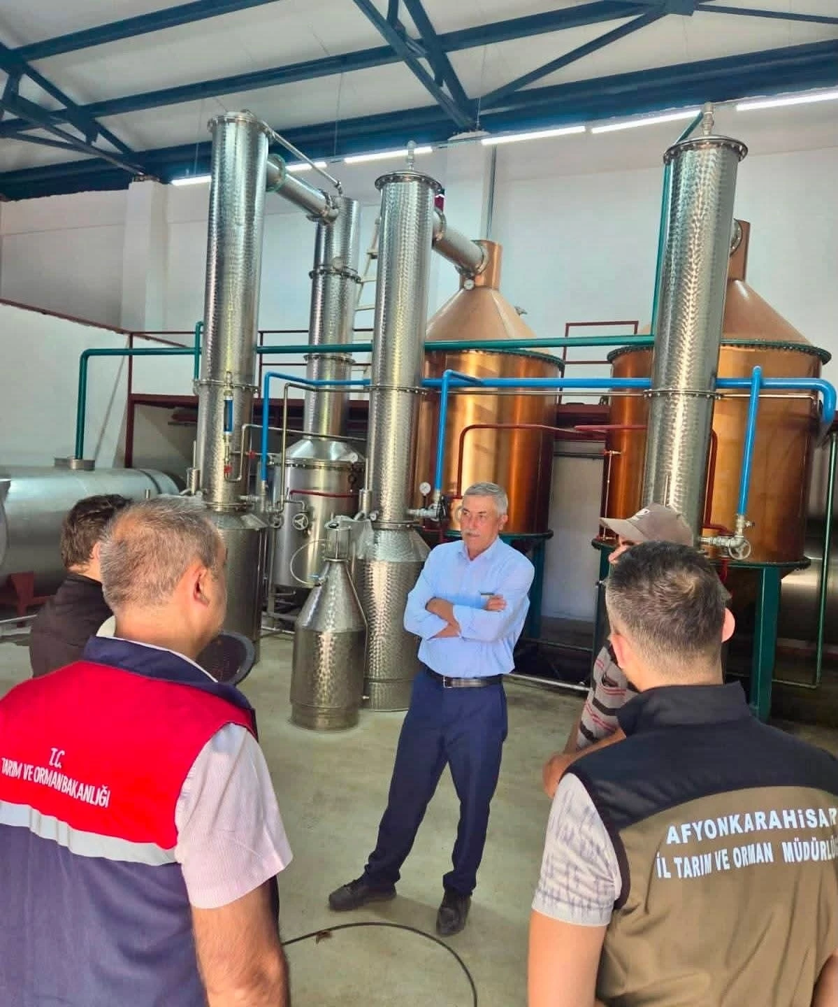 Tıbbi aromatik bitki &uuml;retimi i&ccedil;in saha &ccedil;alışmaları s&uuml;r&uuml;yor
