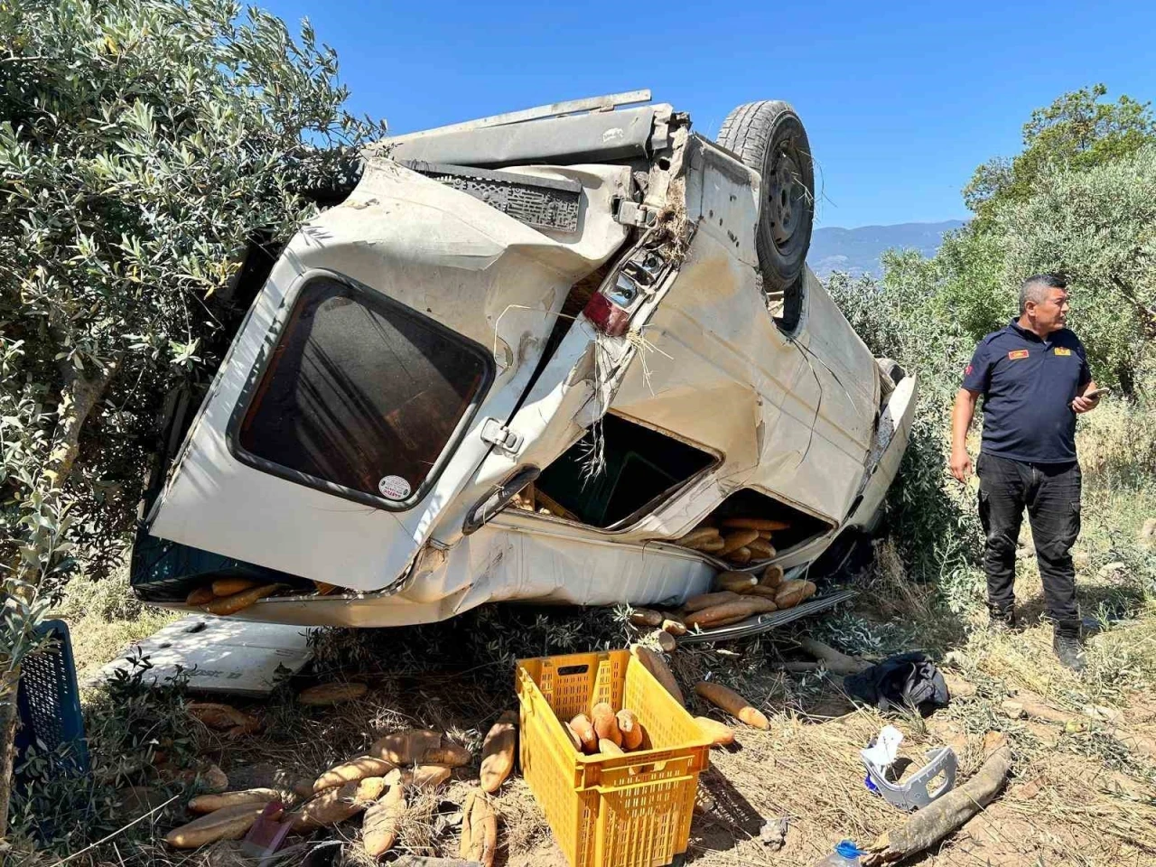 Ticari araç zeytinliğe uçtu: 1 ölü
