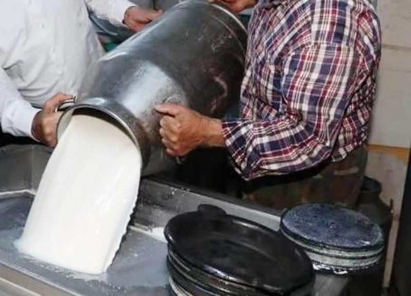 Ticari süt işletmelerince 1 milyon 15 bin 647 ton inek sütü toplandı
