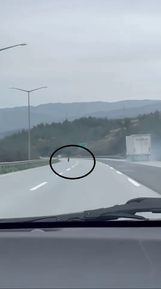 Tırdan fırlayan lastik otobanda y&uuml;zlerce metre ilerledi
