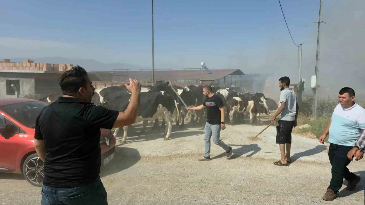 Tire’de makilik alandaki yangın köye sıçradı, bazı evler ve damlar küle döndü
